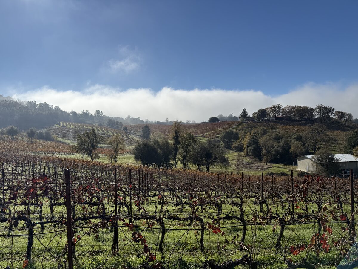 Amador County wine country
