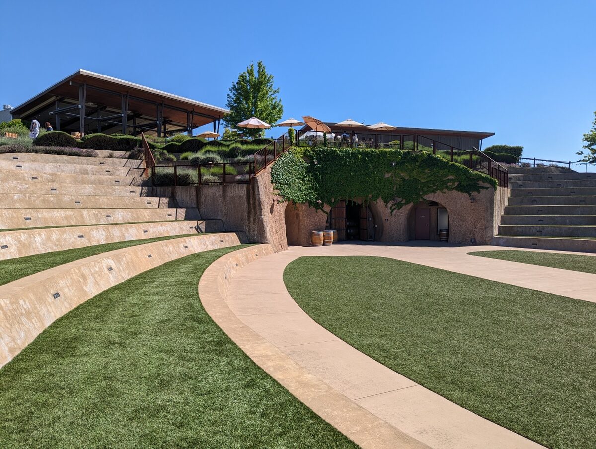 Amador vineyards