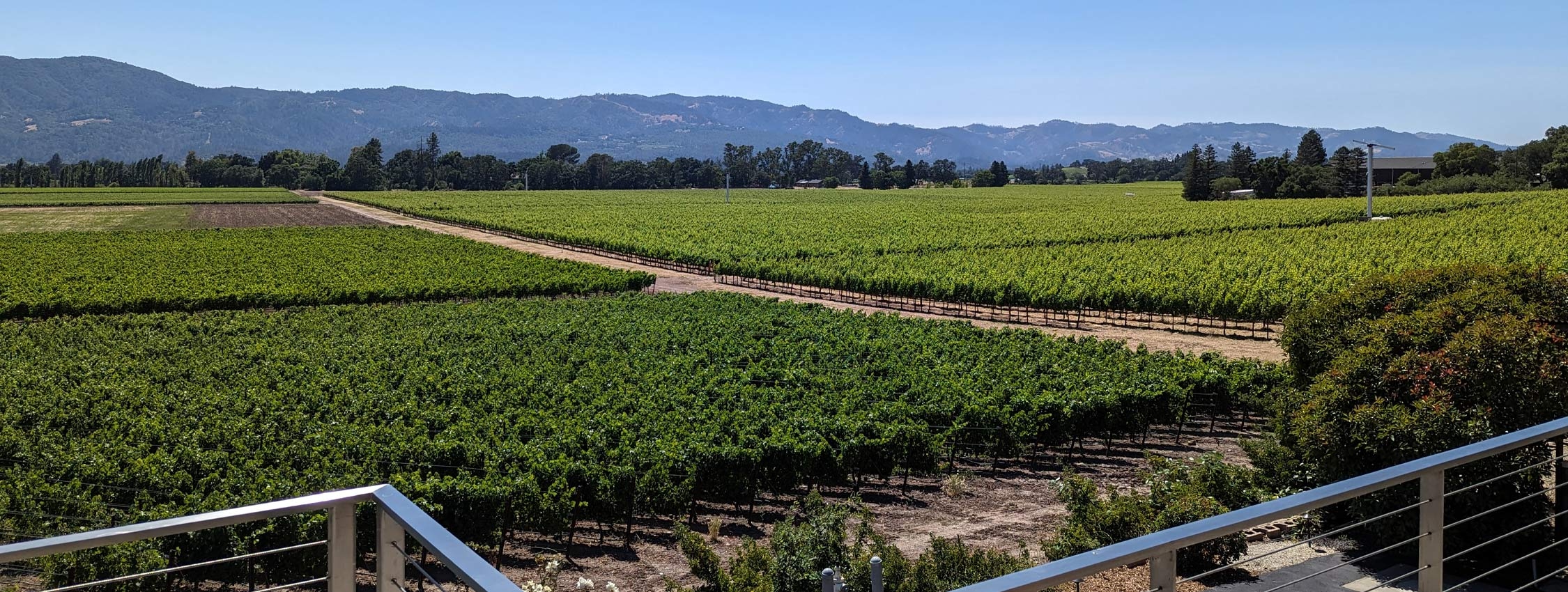 The top 10 wineries of Napa Valley