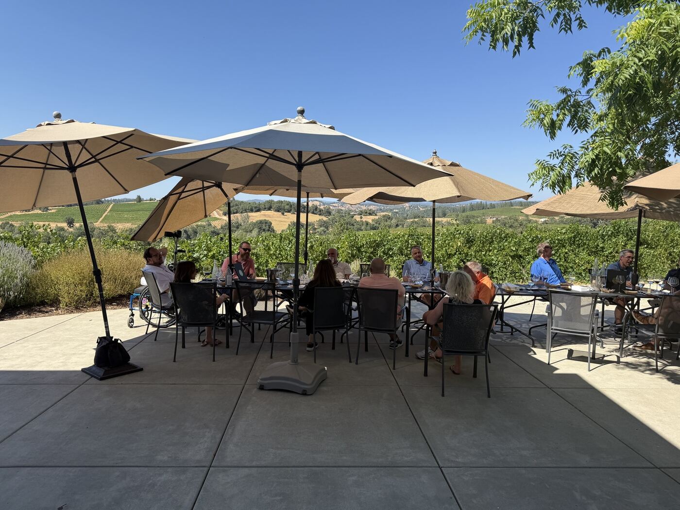 NapSac corporate event wine