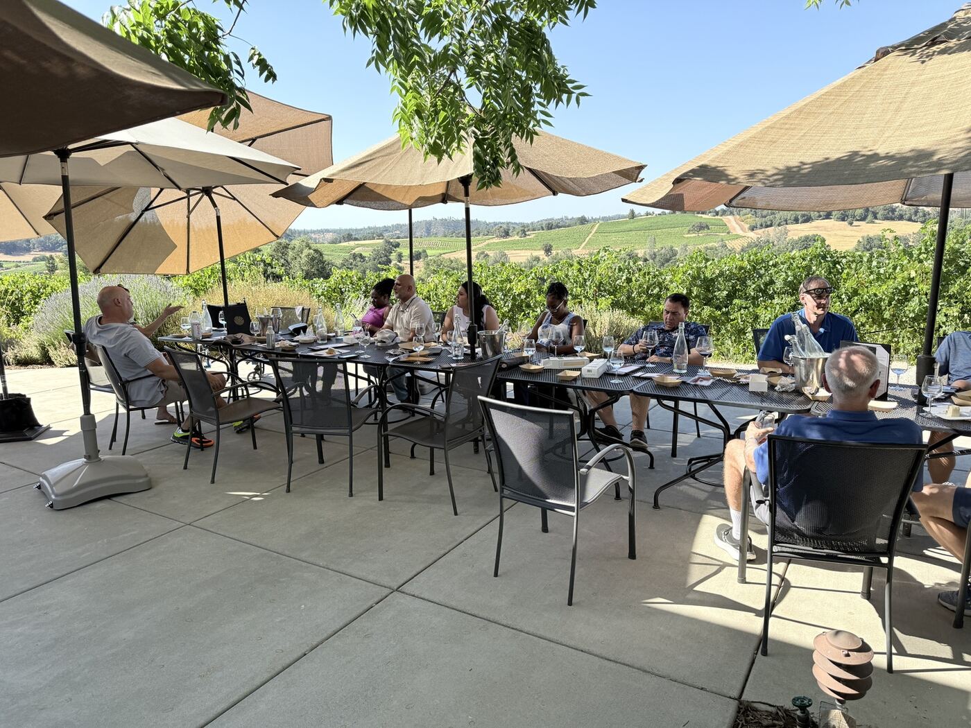 NapSac wine tour group