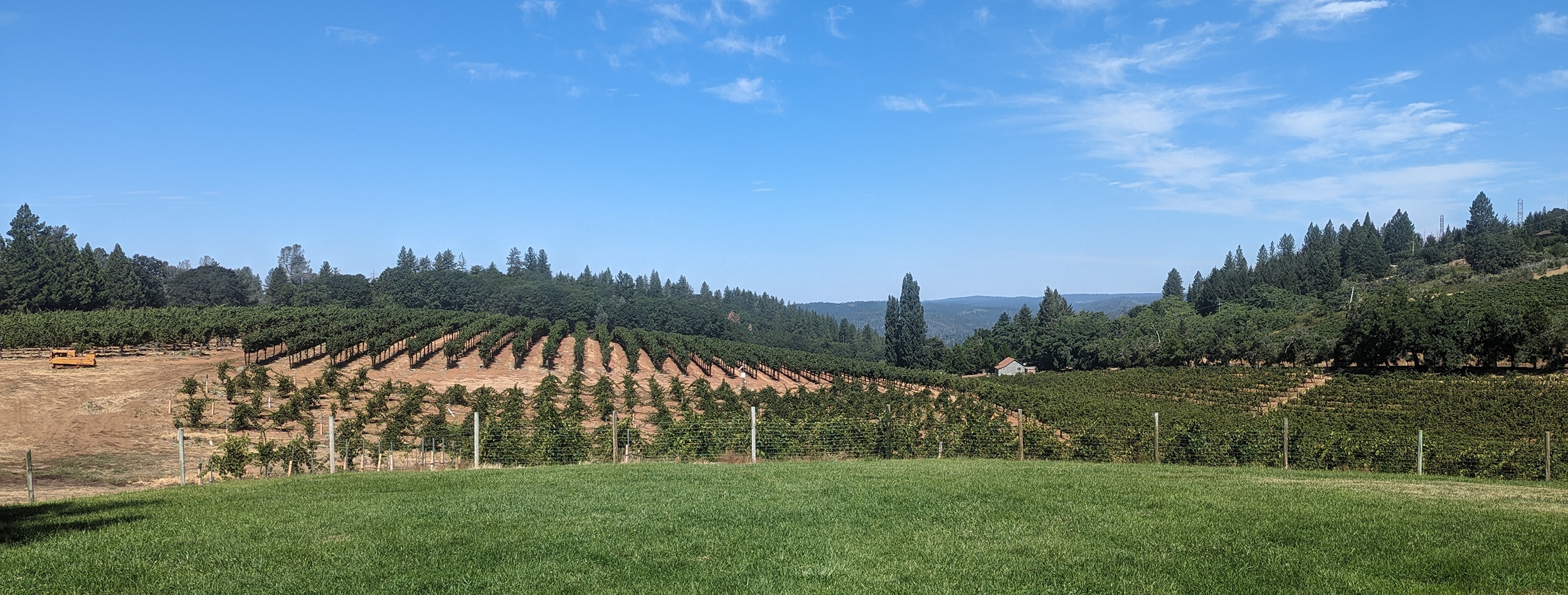 El Dorado wine country