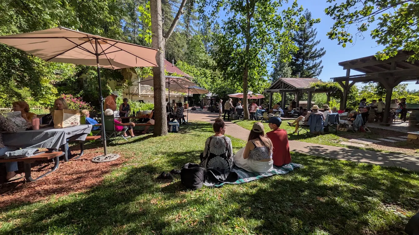 Wood-fired pizza and a relaxed lunch stop during an El Dorado wine tour