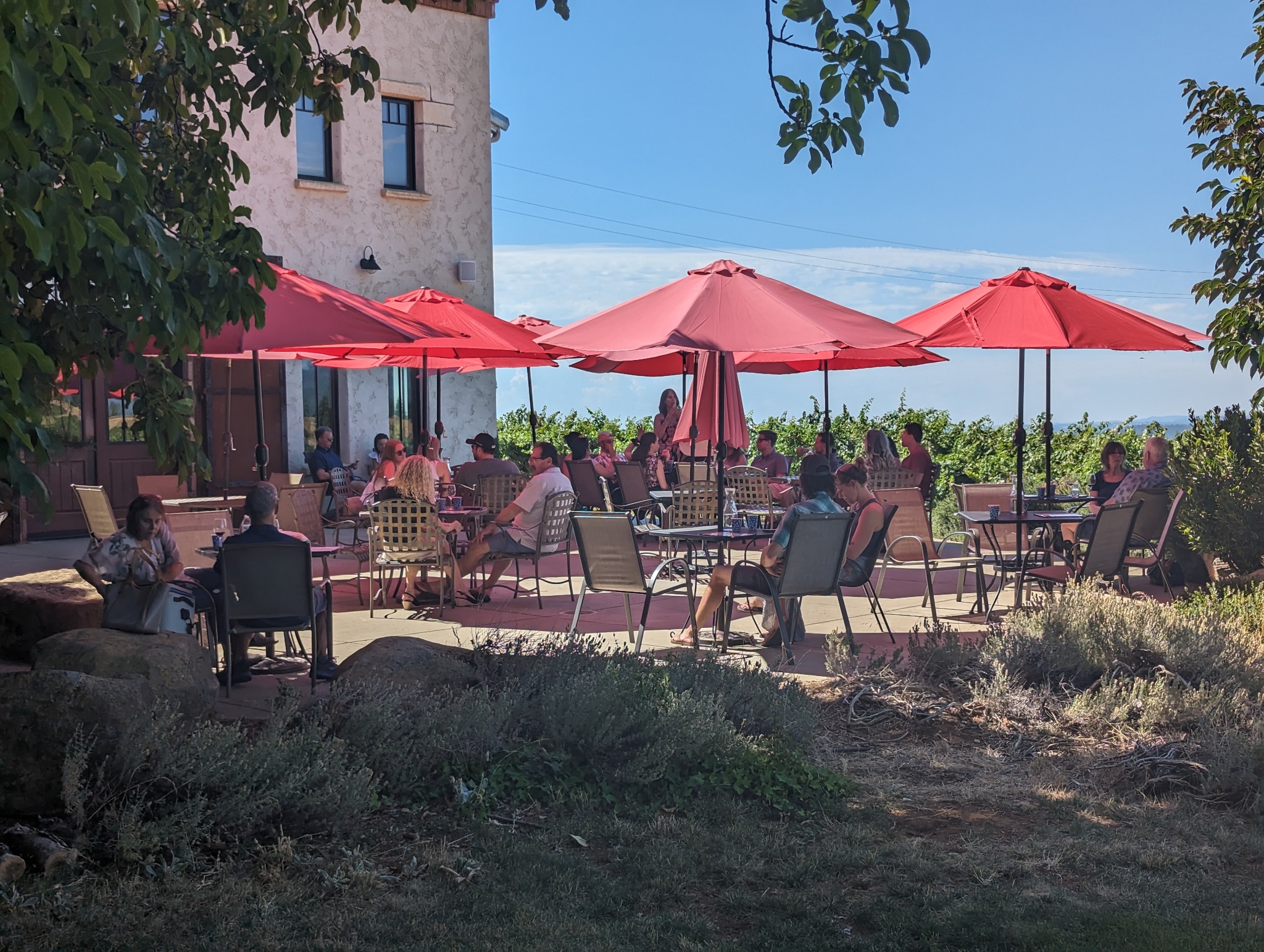 Guests enjoying a second winery tasting with vineyard views in El Dorado