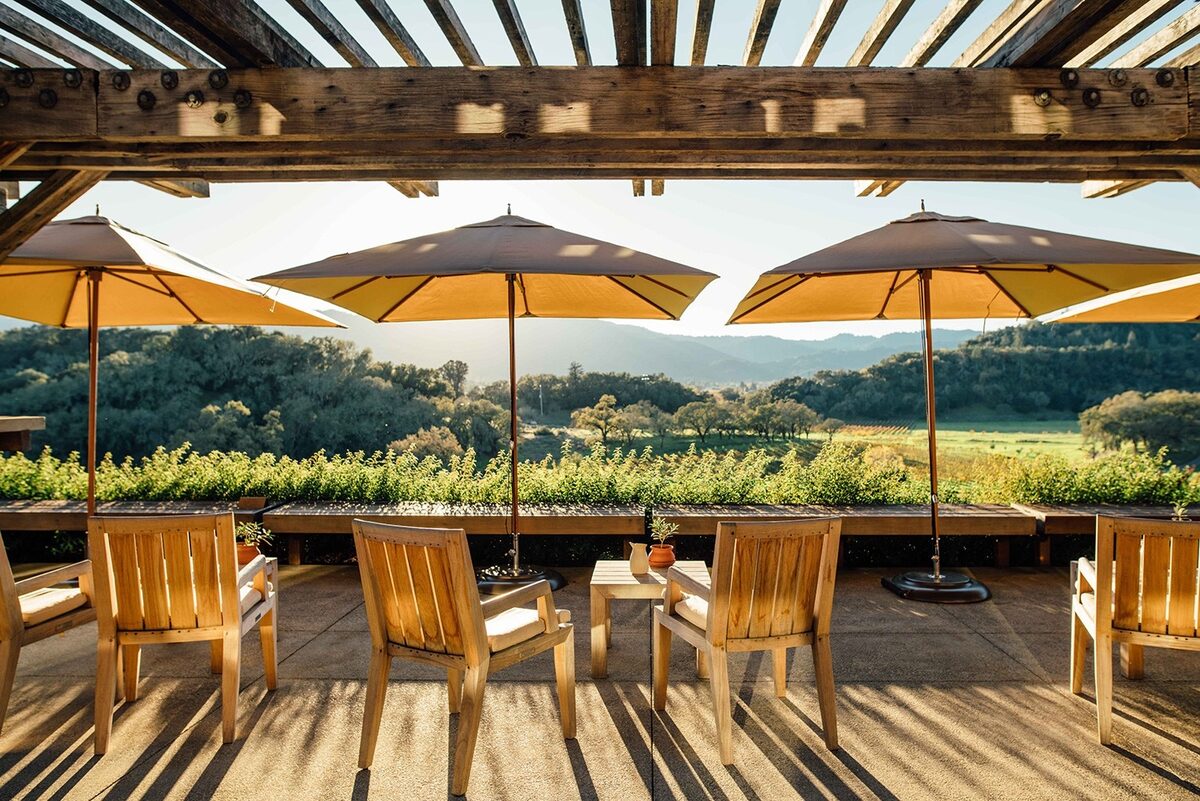 Vineyard tasting experience