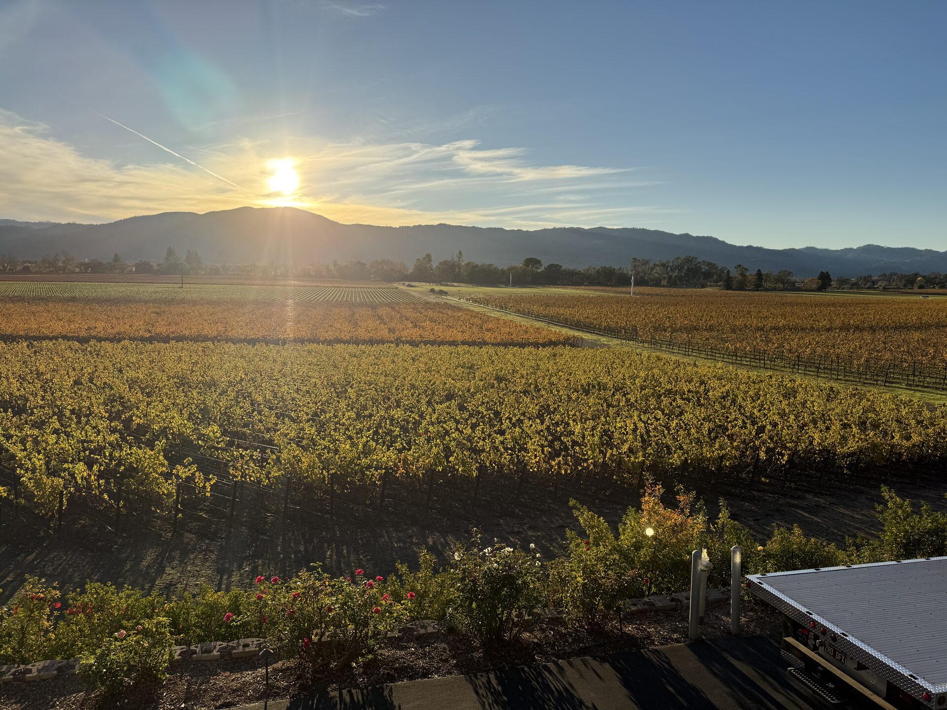 Ready to experience wine country