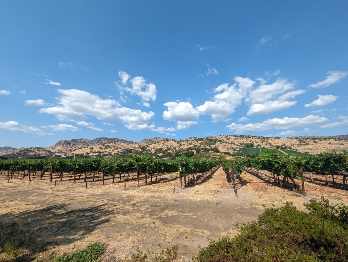 Napa Valley vineyards