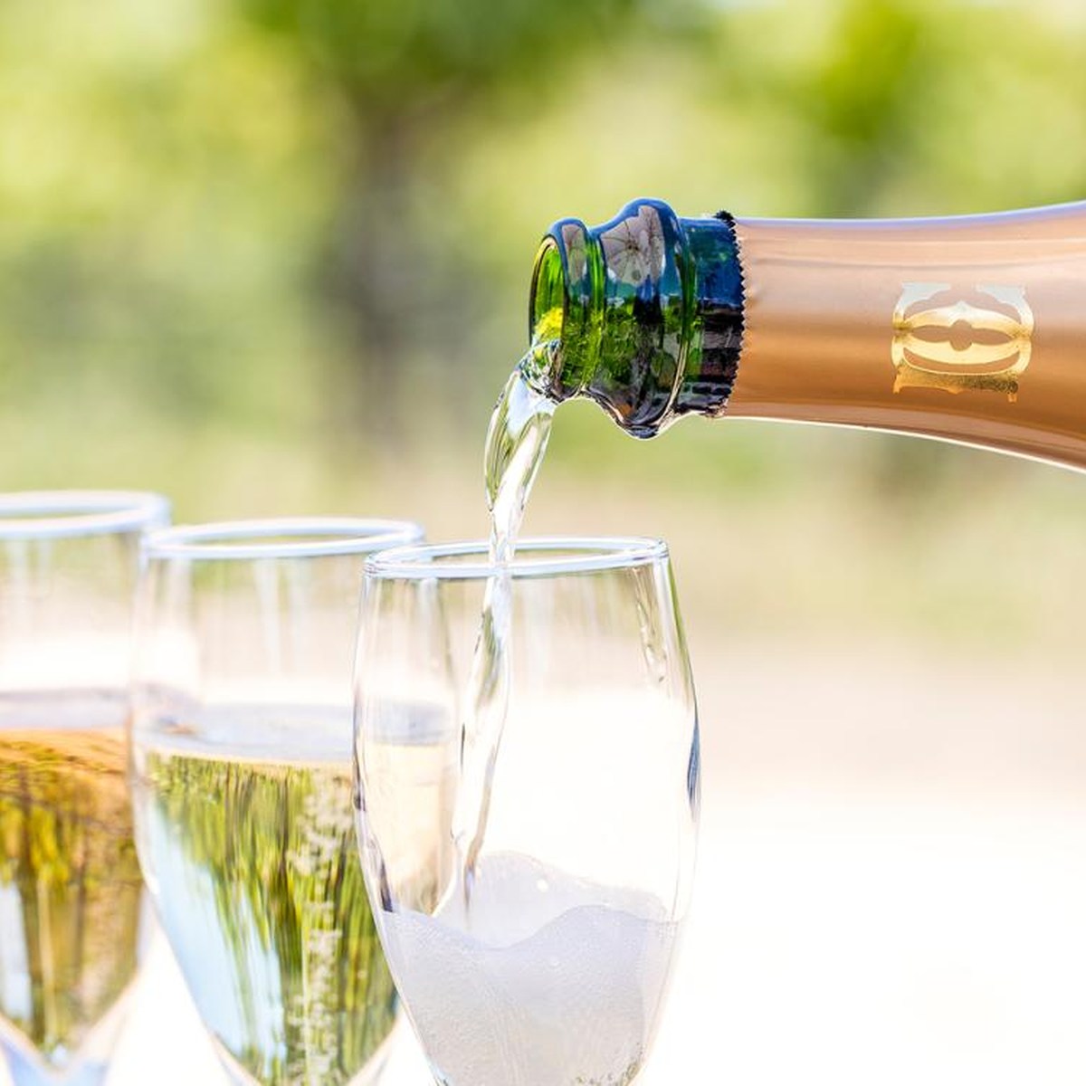 Sparkling first pour on a private wine tour