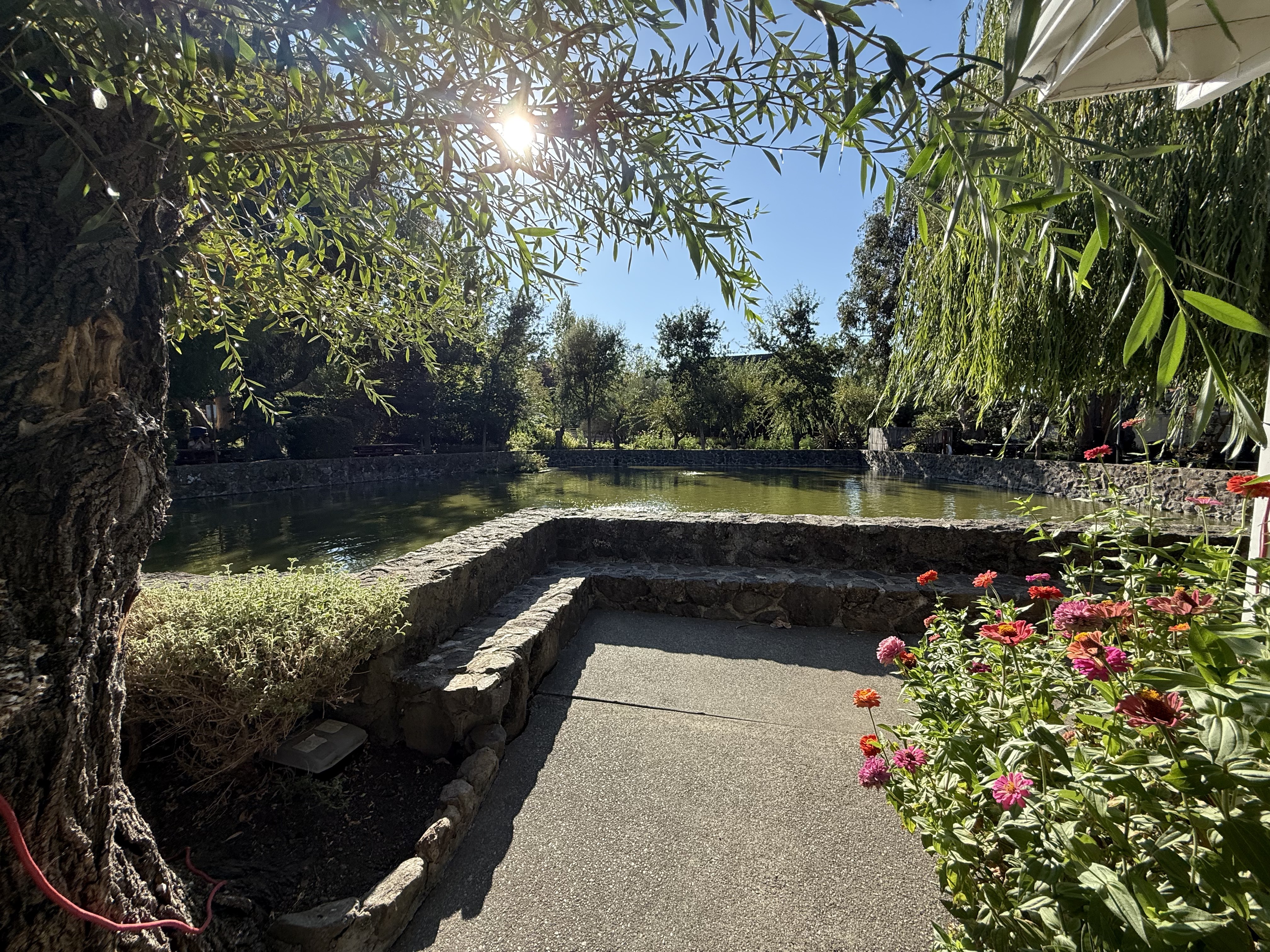 Sonoma tour moments