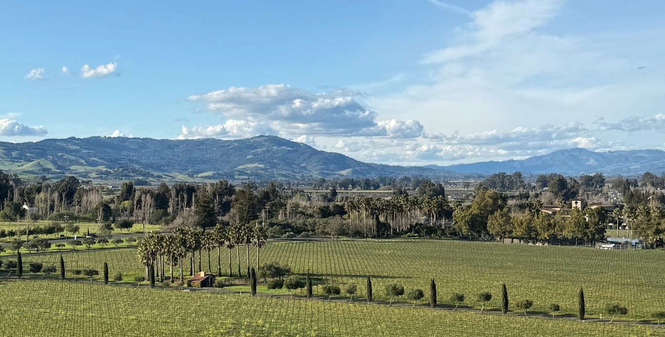 Panoramic Sonoma Valley vineyard landscape for the room with a view stop