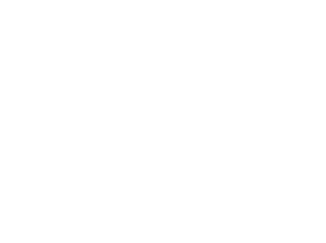 Napsac Wine Tours logo - Transparant White