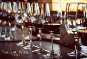 Wine Tasting in Napa Valley | NapSac Wine Tours