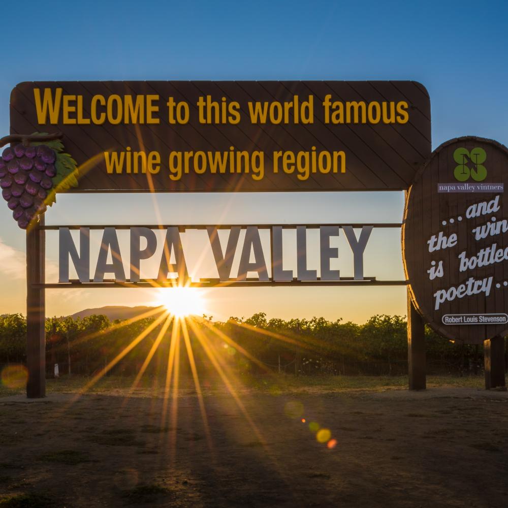 Napa Valley Wine Tours | NapSac Wine Tours (2)
